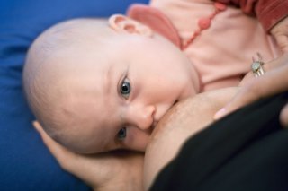 La tisane de fenouil est réputée pour stimuler la production de lait maternel et soulager le ventre du bébé.